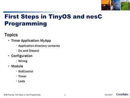 Feb 2007WSN Training: First Steps in nesC Programming1 First Steps in TinyOS and nesC Programming Topics  Timer Application: MyApp  Application directory.