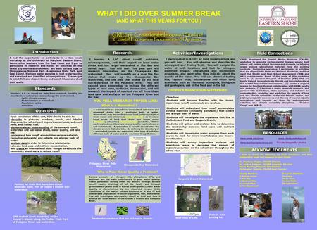 WHAT I DID OVER SUMMER BREAK (AND WHAT THIS MEANS FOR YOU!) Betzy Willis Standards Objectives RESOURCES Activities/Investigations ACKNOWLEDGEMENTS Research.