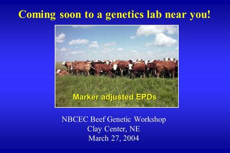 Coming soon to a genetics lab near you! NBCEC Beef Genetic Workshop Clay Center, NE March 27, 2004 Marker adjusted EPDs.