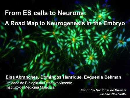 From ES cells to Neurons: A Road Map to Neurogenesis in the Embryo Elsa Abranches, Domingos Henrique, Evguenia Bekman Unidade de Biologia do Desenvolvimento.