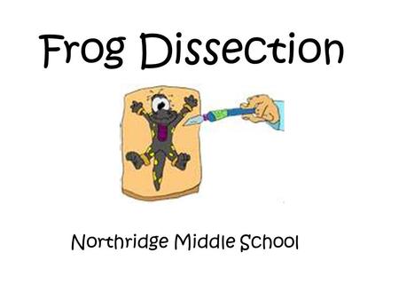 Frog Dissection Northridge Middle School.