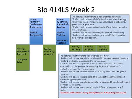 Bio 414LS Week 2 Lecture: Normal Fly Development & Microscopy Activity: Disc dissection Lecture: Fly Genetics, Husbandry & Handling Activity: Virgining.