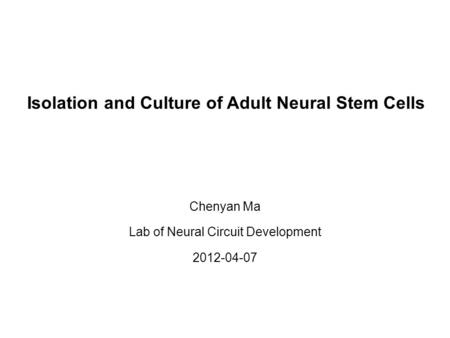 Isolation and Culture of Adult Neural Stem Cells Chenyan Ma Lab of Neural Circuit Development 2012-04-07.