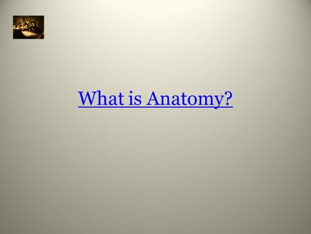What is Anatomy?. Study of the body’s structure and relationships.