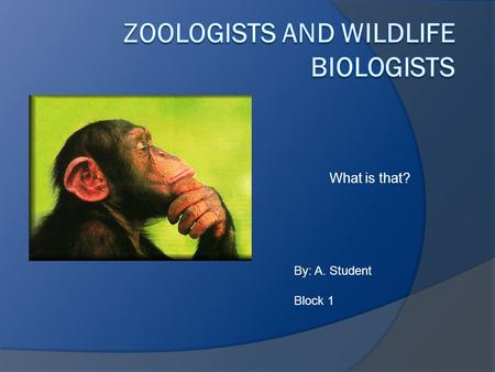 What is that? By: A. Student Block 1 Overview SSalary EEducation TTools JJob responsibilities WWhy do I like this job?