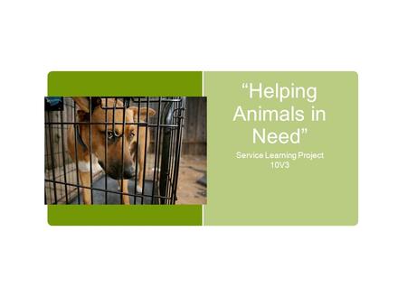 “Helping Animals in Need” Service Learning Project 10V3.