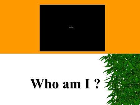 Who am I ?. Identity Does N NN Nature who you are? or N NN Nurture decide.