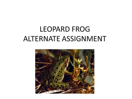 LEOPARD FROG ALTERNATE ASSIGNMENT