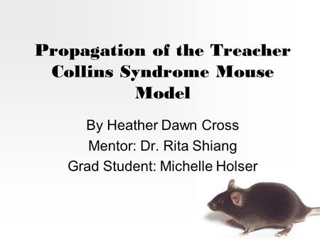 Propagation of the Treacher Collins Syndrome Mouse Model By Heather Dawn Cross Mentor: Dr. Rita Shiang Grad Student: Michelle Holser.