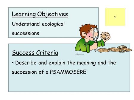 Learning Objectives Understand ecological successions Success Criteria Describe and explain the meaning and the succession of a PSAMMOSERE 1.