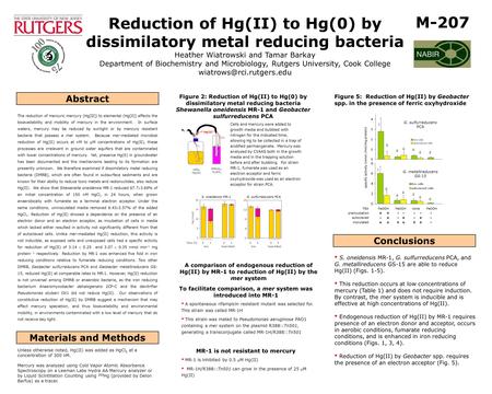 Reduction of Hg(II) to Hg(0) by dissimilatory metal reducing bacteria Heather Wiatrowski and Tamar Barkay Department of Biochemistry and Microbiology,