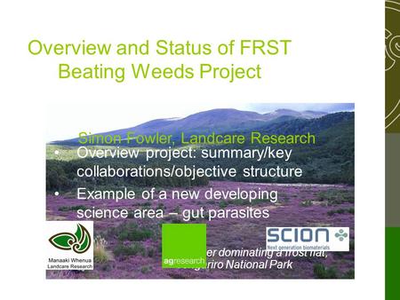 Heather dominating a frost flat, Tongariro National Park Overview and Status of FRST Beating Weeds Project Simon Fowler, Landcare Research Overview project: