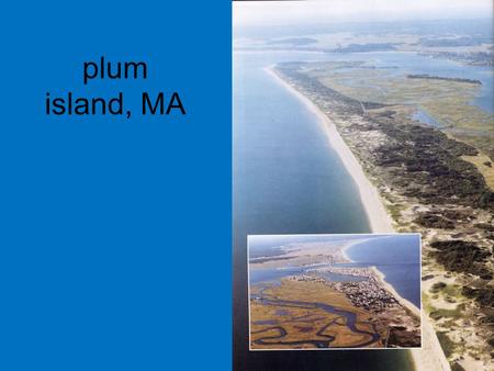 Plum island, MA. developed -- streets and houseswildlife refuge no dunes (removed, or built upon)sand dunes a few beach grasses (between.
