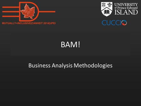 BAM! Business Analysis Methodologies. www.mun.ca Change-driven or Plan-driven?