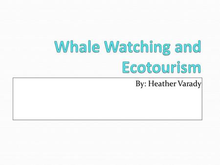 By: Heather Varady. Whale watching is the observation of surfacing whales and other cetaceans in their natural habitat. Ecotourism is responsible travel.