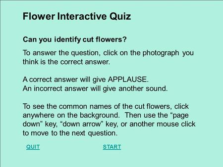 To answer the question, click on the photograph you think is the correct answer. A correct answer will give APPLAUSE. An incorrect answer will give another.