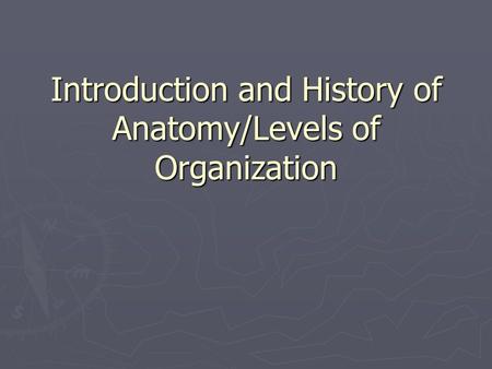 Introduction and History of Anatomy/Levels of Organization.