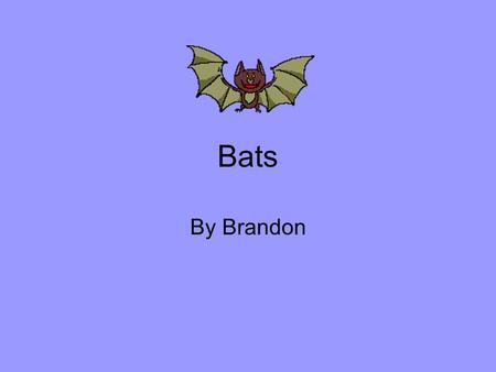 Bats By Brandon.