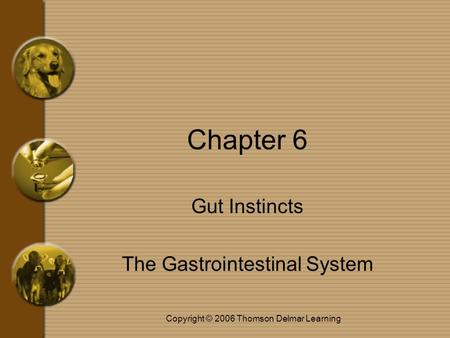 Copyright © 2006 Thomson Delmar Learning Chapter 6 Gut Instincts The Gastrointestinal System.