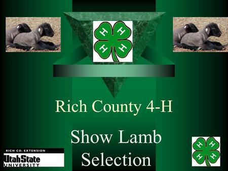 Rich County 4-H Show Lamb Selection Darrell Rothlisberger Rich County Extension Agent.