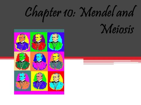 Chapter 10: Mendel and Meiosis September 28 2010.