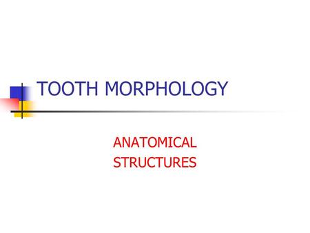 ANATOMICAL STRUCTURES