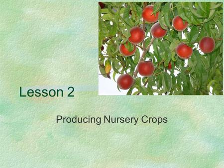 Lesson 2 Producing Nursery Crops. Next Generation Science/Common Core Standards Addressed! §WHST.9 ‐ 12.2 Write informative/explanatory texts, including.