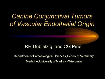 Canine Conjunctival Tumors of Vascular Endothelial Origin RR Dubielzig and CG Pirie, Department of Pathobiological Sciences, School of Veterinary Medicine,