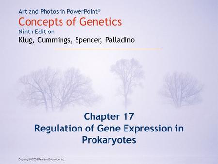 Regulation of Gene Expression in Prokaryotes
