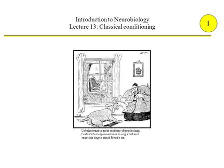 Introduction to Neurobiology Lecture 13: Classical conditioning 1.