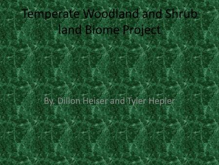 Temperate Woodland and Shrub land Biome Project By. Dillon Heiser and Tyler Hepler.