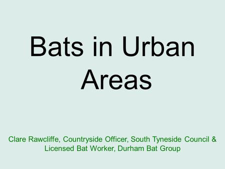 Bats in Urban Areas Clare Rawcliffe, Countryside Officer, South Tyneside Council & Licensed Bat Worker, Durham Bat Group.