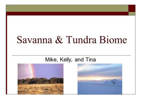 Savanna & Tundra Biome Mike, Kelly, and Tina. Savanna Biome  It occurs in regions that has a distinct wet/dry climate category.  Dry season in the winter.