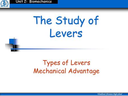 The Study of Levers Types of Levers Mechanical Advantage