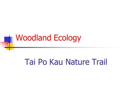 Woodland Ecology Tai Po Kau Nature Trail.