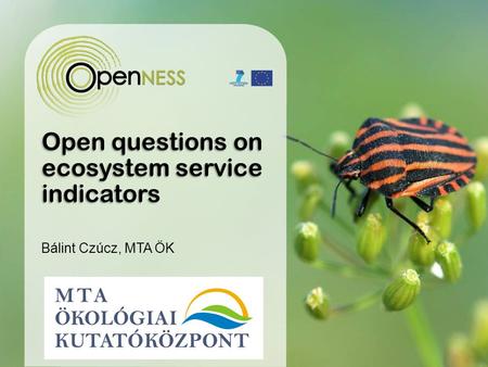 Open questions on ecosystem service indicators Bálint Czúcz, MTA ÖK.