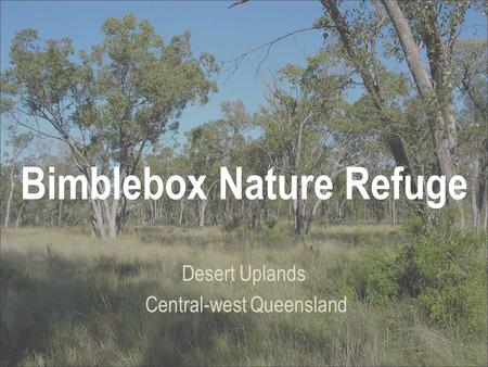 Bimblebox Nature Refuge Desert Uplands Central-west Queensland.
