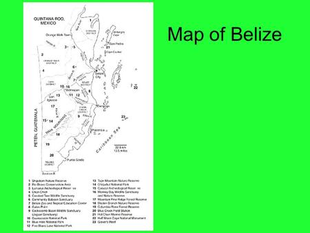 Map of Belize. Bird Identification Habitat Types Cloud Forest Submontane Broadleaf Forest Lowland Broadleaf Forest Submontane Pine Woodland Lowland.