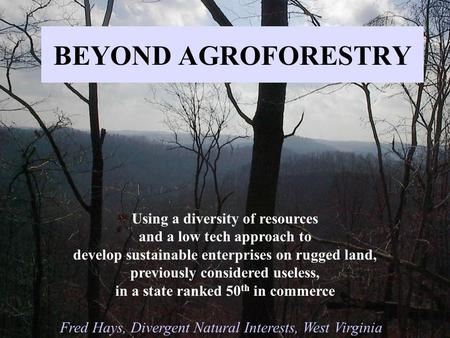 BEYOND AGROFORESTRY Using a diversity of resources and a low tech approach to develop sustainable enterprises on rugged land, previously considered useless,