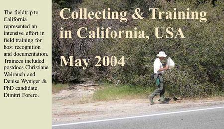 Collecting & Training in California, USA May 2004 The fieldtrip to California represented an intensive effort in field training for host recognition and.
