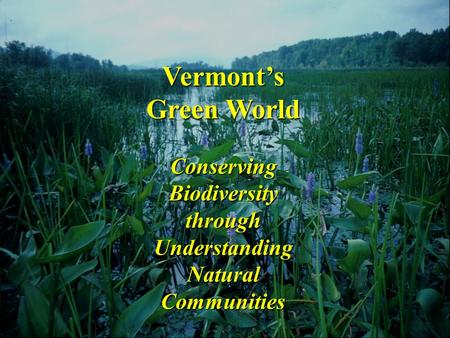 Vermont’s Green World Conserving Biodiversity through Understanding Natural Communities.