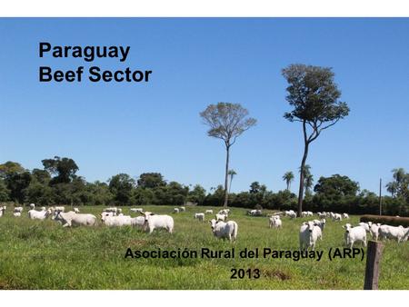 Paraguay Beef Sector Asociación Rural del Paraguay (ARP) 2013.