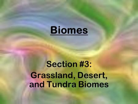 Section #3: Grassland, Desert, and Tundra Biomes