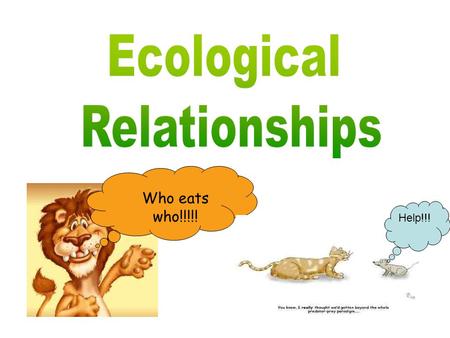 Ecological Relationships Who eats who!!!!! Help!!!