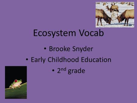 Ecosystem Vocab Brooke Snyder Early Childhood Education 2 nd grade.
