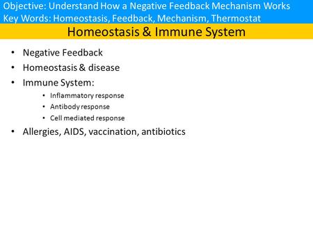 Homeostasis & Immune System