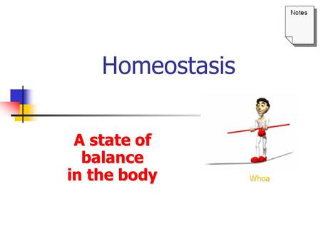 A state of balance in the body