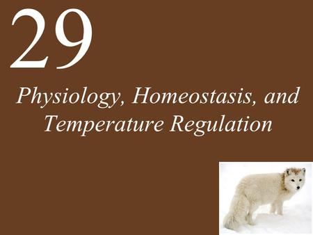Physiology, Homeostasis, and Temperature Regulation