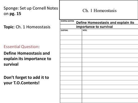 Sponge: Set up Cornell Notes on pg. 15 Topic: Ch. 1 Homeostasis Essential Question: Define Homeostasis and explain its importance to survival Don’t forget.