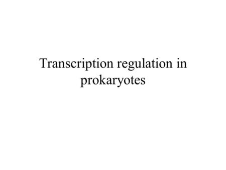 Transcription regulation in prokaryotes. Background: major and minor grooves of DNA.